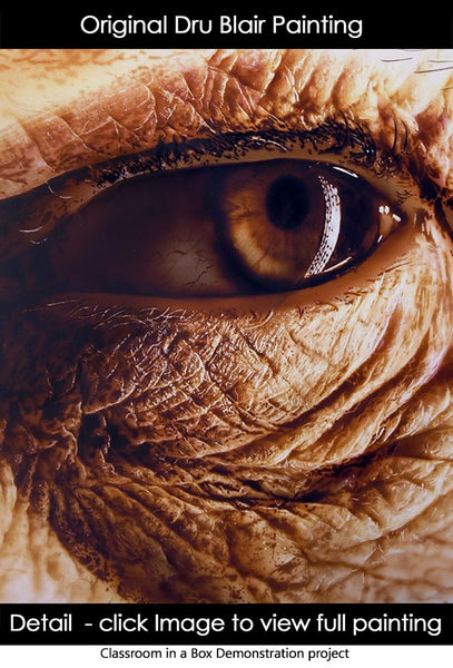 Classroom in a Box (study/class demo): Textured Skin