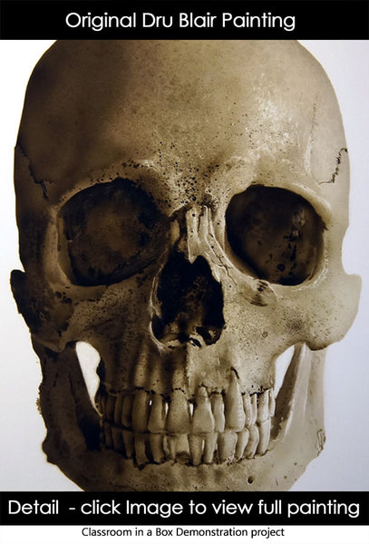 Classroom in a Box (study/class demo): Skull