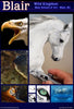 Dru Blair: Airbrush - Wildlife, Wild Kingdom</b><p>Held in January 2015</p>